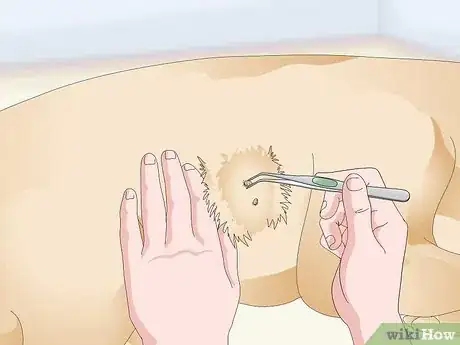 Image titled Treat Canine Tick Problems Step 3