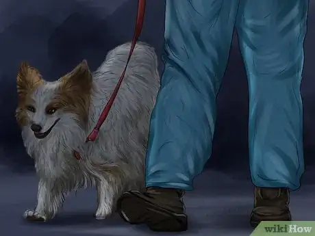 Image titled Walk Your Dog at Night Step 13