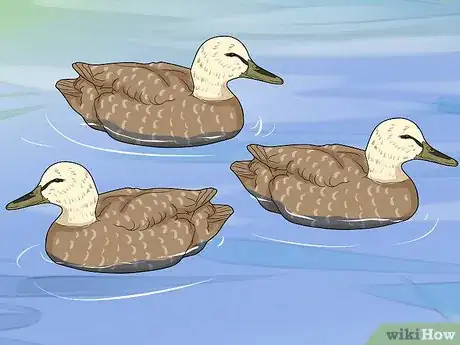 Image titled Set Duck Decoys Step 14