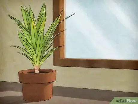 Image titled Protect Plants from the Cold Step 1