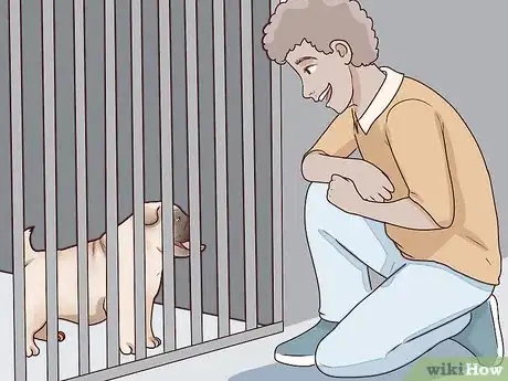 Image titled Choose a Small Dog Step 10