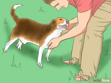 Image titled Engage in Healthy Play with Your Dog Step 1
