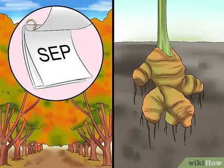 Image titled 82841 11