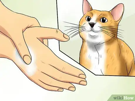 Image titled Prepare Your Cat for a New Baby Step 6