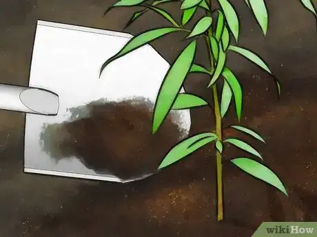 Image titled Plant a Tree Step 19