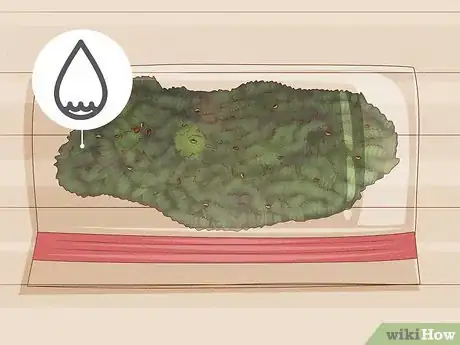 Image titled Propagate Pitcher Plants Step 15