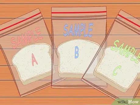 Image titled Make Mold Grow on Bread Step 7