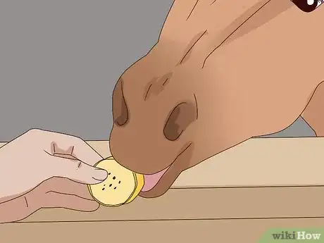 Image titled Prepare Fruit and Vegetables for Horses Step 7