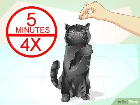 Image titled Train an Old Stubborn Cat to Do Tricks Step 5