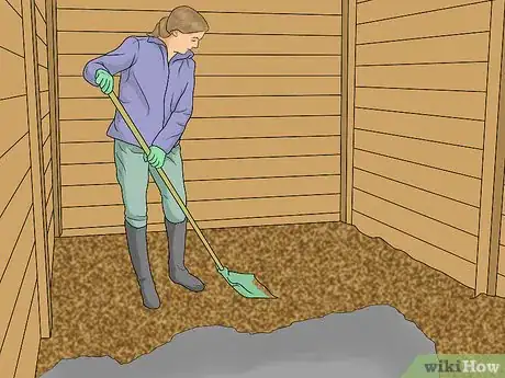 Image titled Prevent a Horse From Colicking Step 11