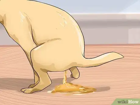 Image titled Prevent Whipworms in Dogs Step 4