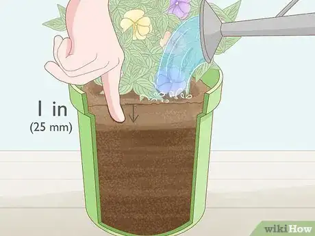 Image titled Grow New Guinea Impatiens Indoors Step 10