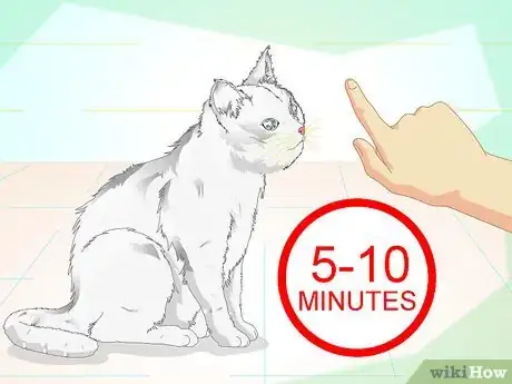 Image titled Make a Hyper Cat Sit Step 6