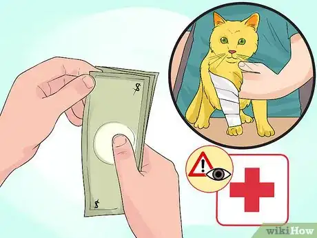 Image titled Adopt a Special Needs Cat Step 11