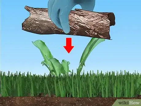 Image titled Control Lawn Weeds Step 2