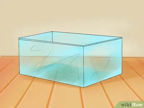 Image titled Care for Hermit Crabs Step 1