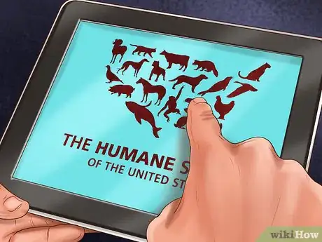 Image titled Determine Where to Get Your Dog Step 8