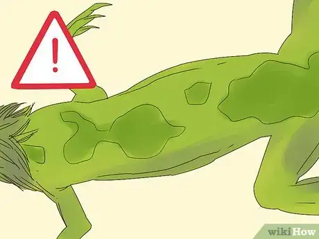 Image titled Buy an Iguana Step 8