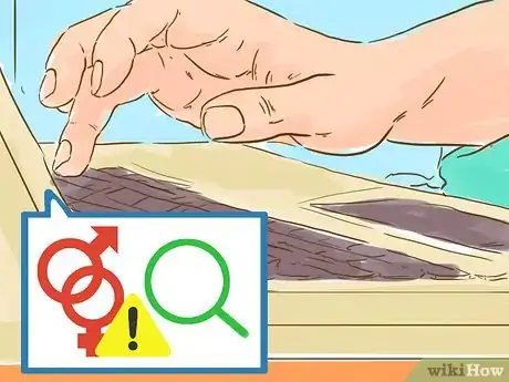 Image titled Tell a Guy Is Sex Obsessed Step 1