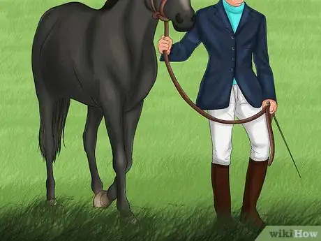 Image titled Maintain Healthy Weight for a Horse Step 11