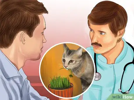 Image titled Give Cat Grass to a Cat Step 1