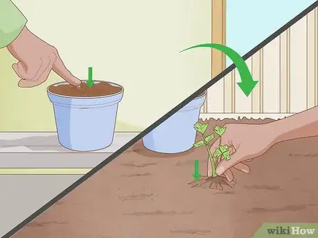 Image titled Grow a Garden Step 5