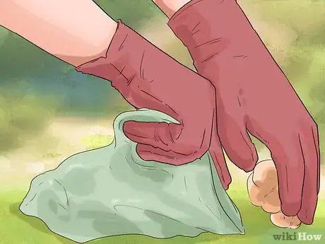 Image titled Prevent a Dog and Cat Tapeworm Infection (Dipylidium Infection) Step 9