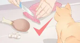 Buy Pet Training Supplies