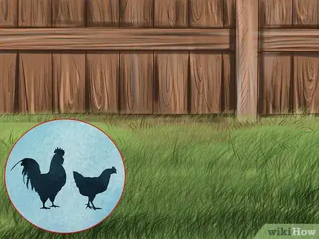 Image titled Build a Chicken Friendly Garden Step 4