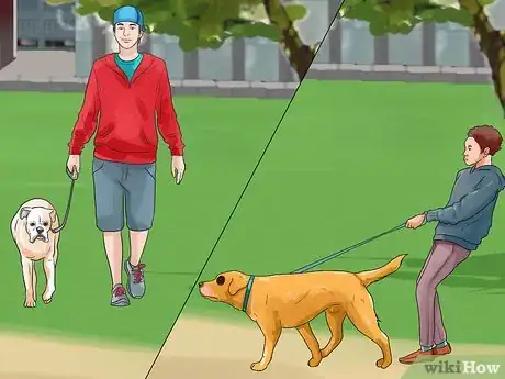Image titled Walk Two Dogs Step 2