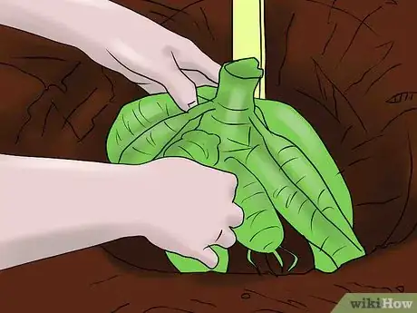 Image titled Overwinter Dahlias Step 11