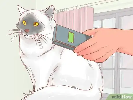 Image titled Keep Your Cat Safe on Independence Day Step 2