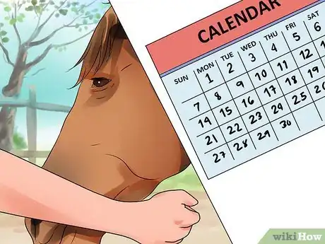 Image titled Be Comfortable Around a Bad‐Tempered Horse Step 11