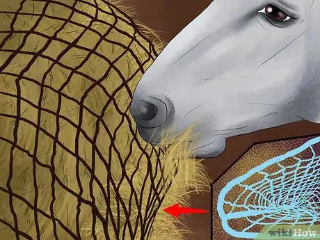 Image titled Maintain Healthy Weight for a Horse Step 13