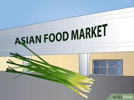 Image titled Cultivate Lemongrass the Easy Way Step 1