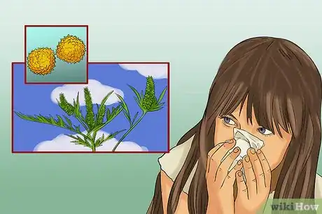 Image titled Look Your Best when Dealing with Allergies Step 11