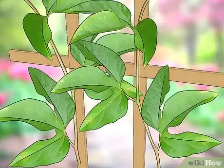 Image titled Extend Your Gardening Season Step 4