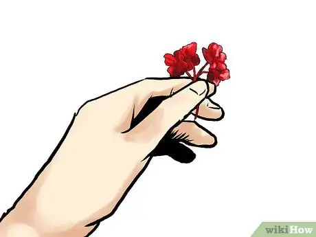 Image titled Grow Geraniums in Pots Step 18