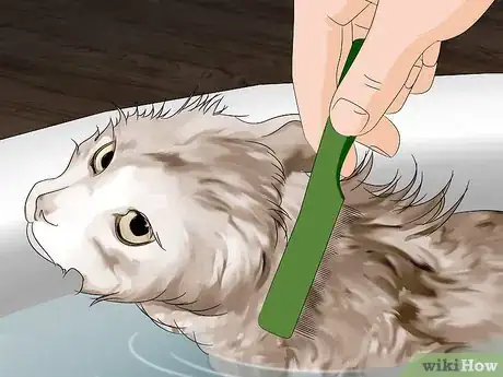 Image titled Fumigate for Fleas Step 11