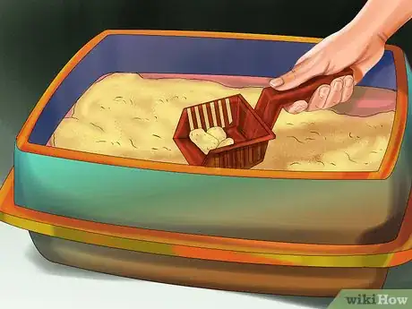 Image titled Care for a Korat Step 8