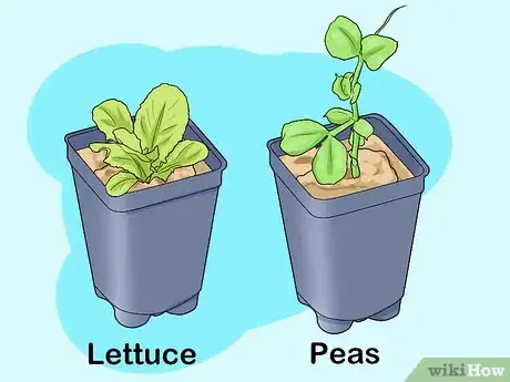 Image titled Design a Successful Indoor Garden Step 4