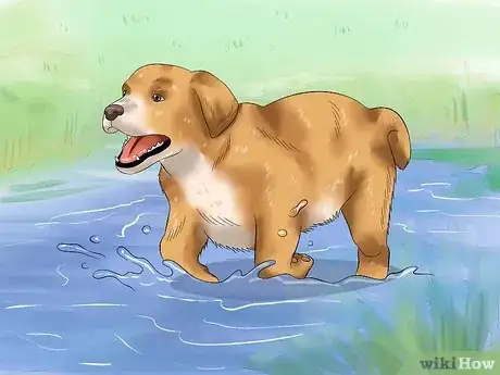 Image titled Love Your Puppy Step 8