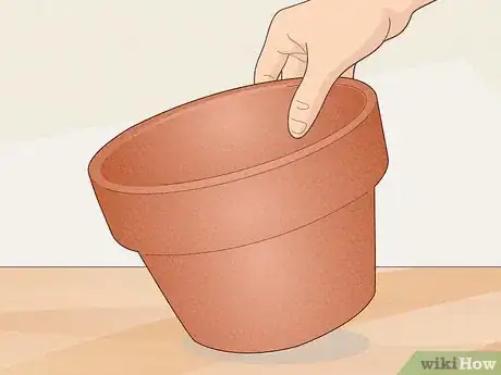 Image titled Make a Mini Garden in Your Room Step 1