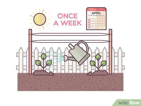 Image titled Grow Boysenberries Step 11