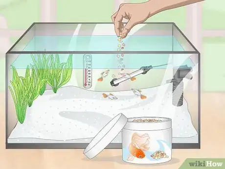 Image titled Prevent Fish From Getting Sick Step 11
