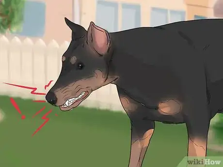 Image titled Detect and Prevent Bloating and Torsion in Dogs Step 5