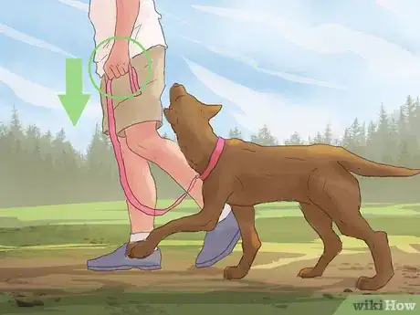 Image titled 105650 6