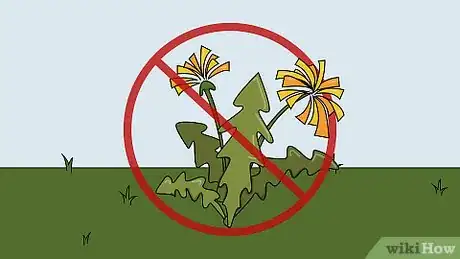 Image titled Plant Columbine Step 16