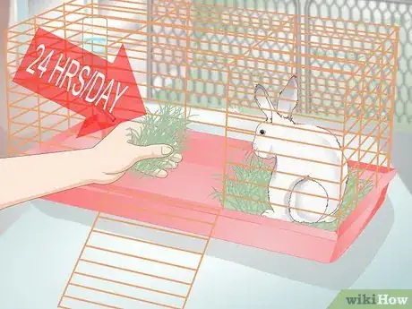 Image titled Spoil Your Pet Rabbit Step 2