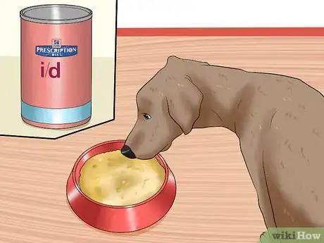 Image titled Solve Digestive Problems With Small Dogs Step 7